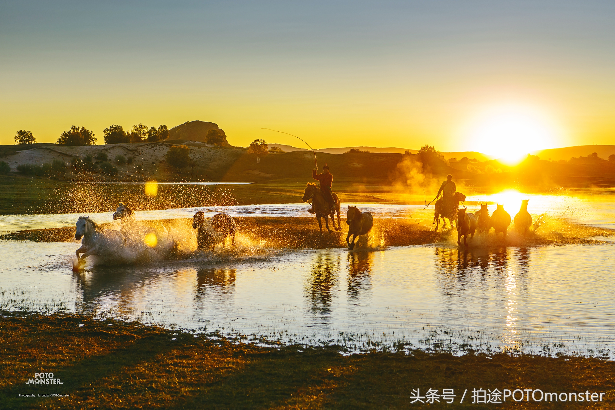 坝上草原奔马摄影作品,坝上草原拍奔马