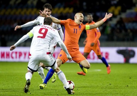 郁金香的一生是怎样的,郁金香一生要经历几个阶段