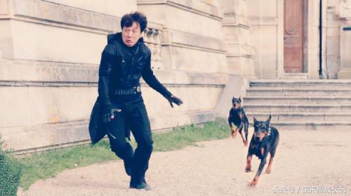 圣德育儿：孩子被狗攻击怎么办，是跑还是原地不动？赶紧教他自保