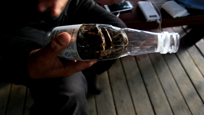 带孩子自由行三亚旅游攻略,带着宝宝重游西安