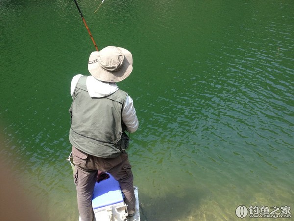 探钓野生鱼视频,探钓野生水库