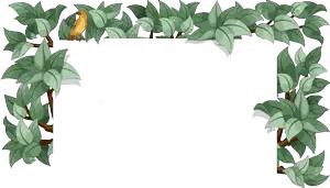 踏青挖野菜指南,最好玩的野趣旅游地方采野菜