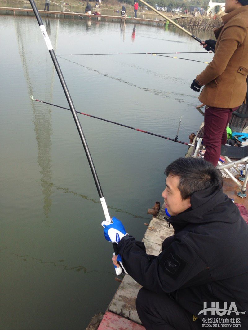 揭秘龙背后的故事,为什么那么多龙纹鲤