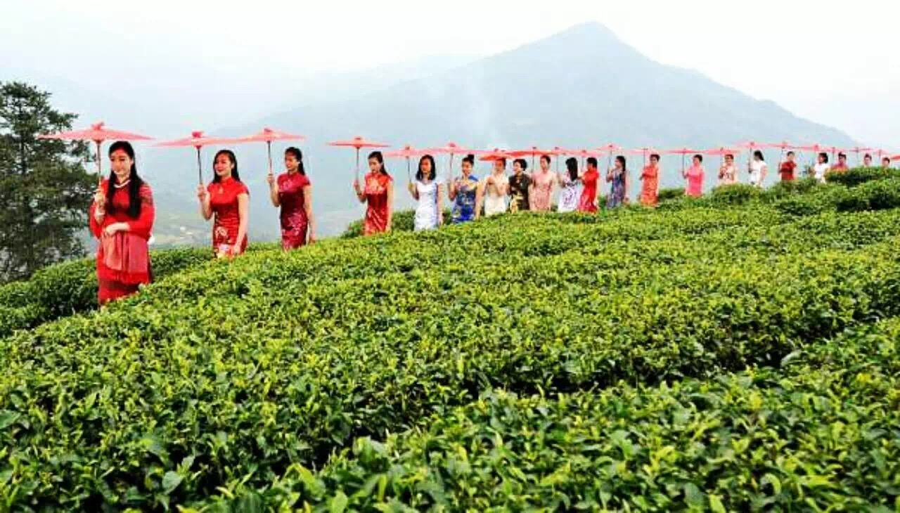 骞胯タ涓夋睙姊敯缇庡コ鍥剧墖,渚楁棌涓夋睙缇庡コ