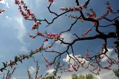 保定你竟然这么花!我真是看错你了!