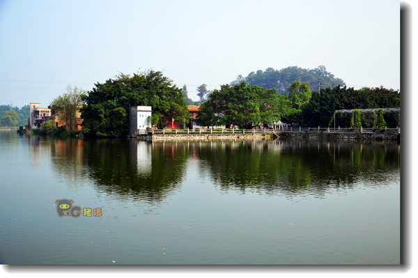 十二道锋味谢霆锋潮汕牛肉,十二道锋味隆苑咖啡谢霆锋