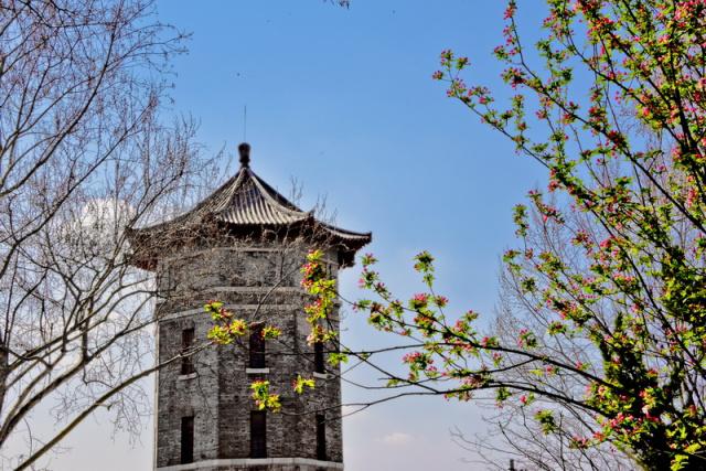 趣谈山大趵突泉校区，春风十里不如你