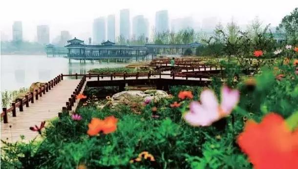 淄博放风筝十大好去处,淄川放风筝好去处