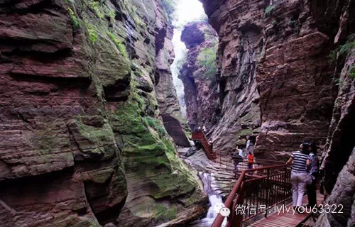 洛阳适合中学生好玩免费景点,洛阳各个景点的介绍