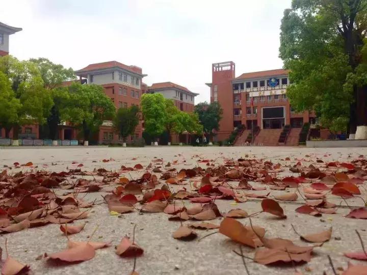 广州最美国际学校,广州最好的外国语学校