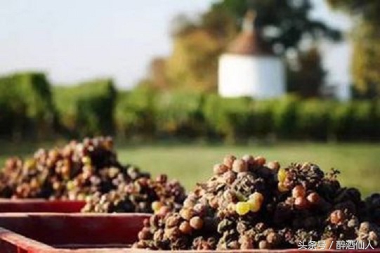 超市进口红酒为何低价卖 (超市卖的红酒最便宜多少钱)