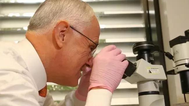 澳洲抗癌新药是真的吗,澳洲最好的抗癌药品