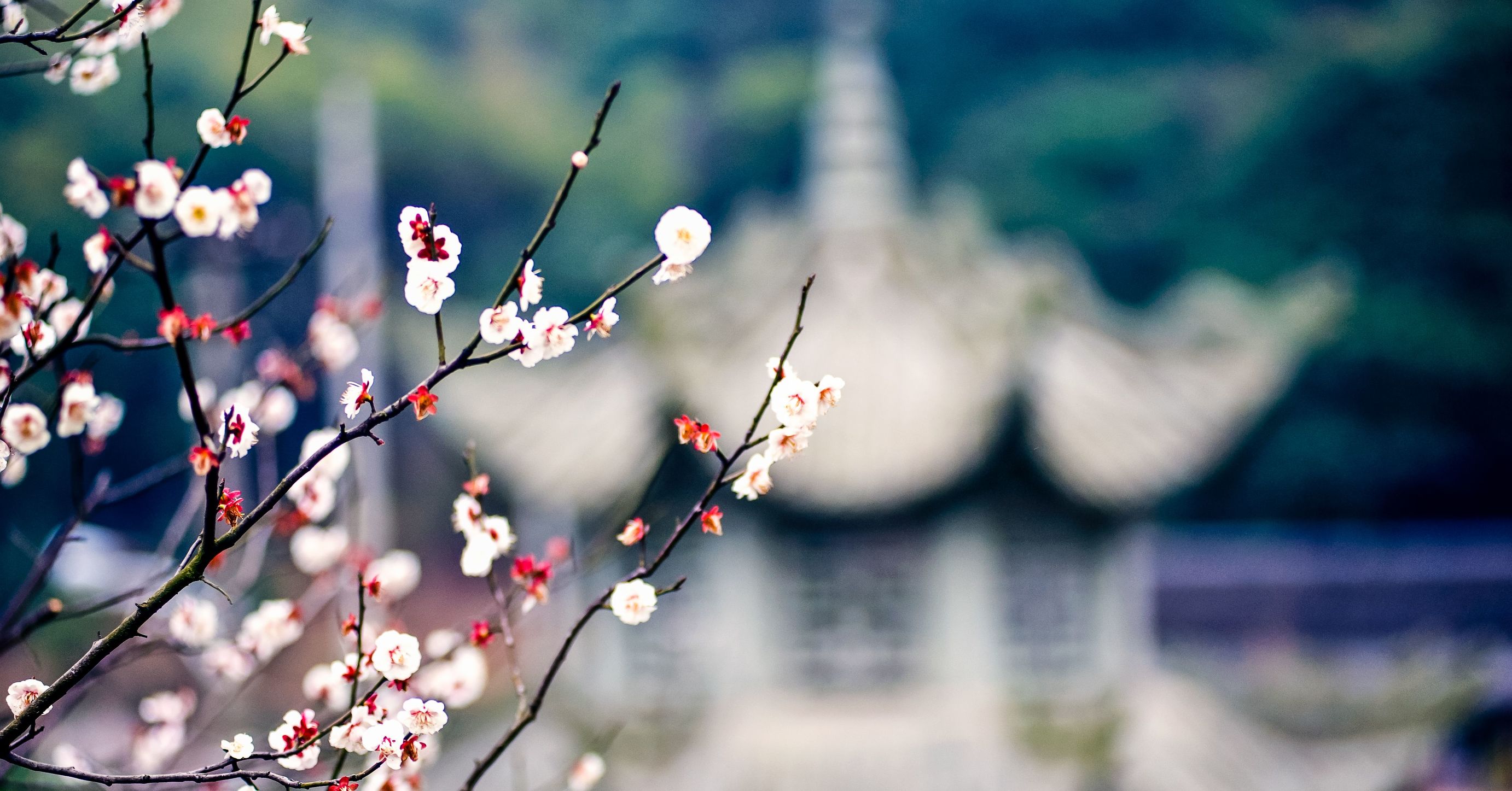 2任男友都背着我偷偷结婚，多年后得知真相我嚎啕大哭