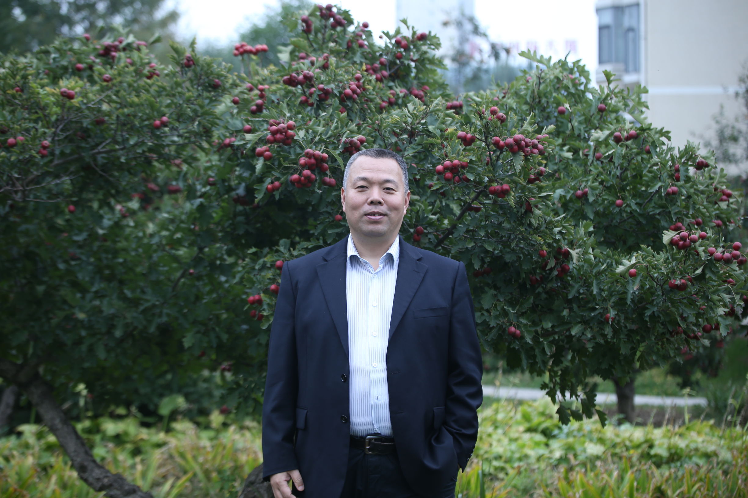 足球经理人物真实吗,足球经理为什么这么真实