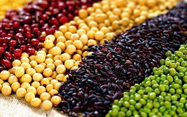 经常吃各种豆类对身体有什么好处,人类最佳的保健蔬菜有哪些