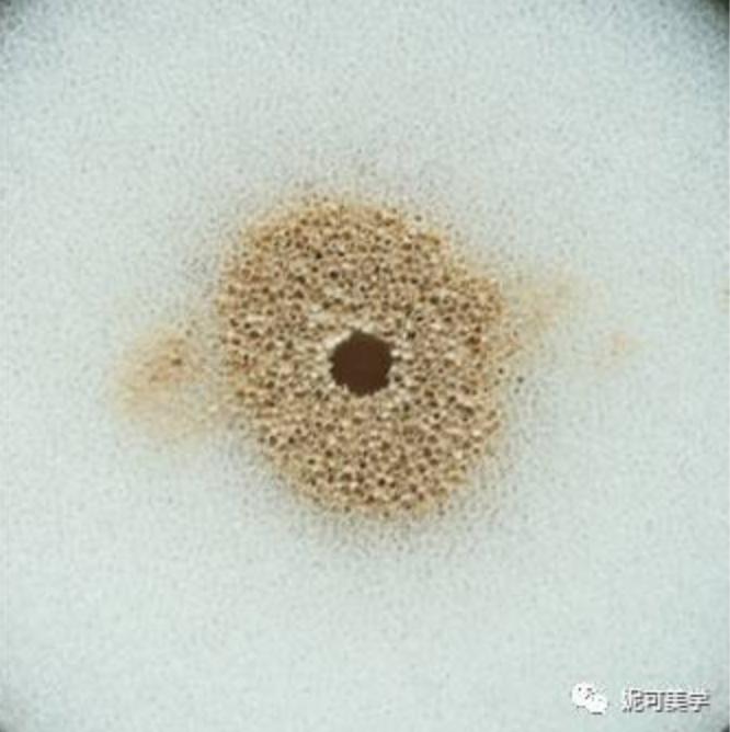 8款气垫底妆测评,气垫粉底十大排行榜