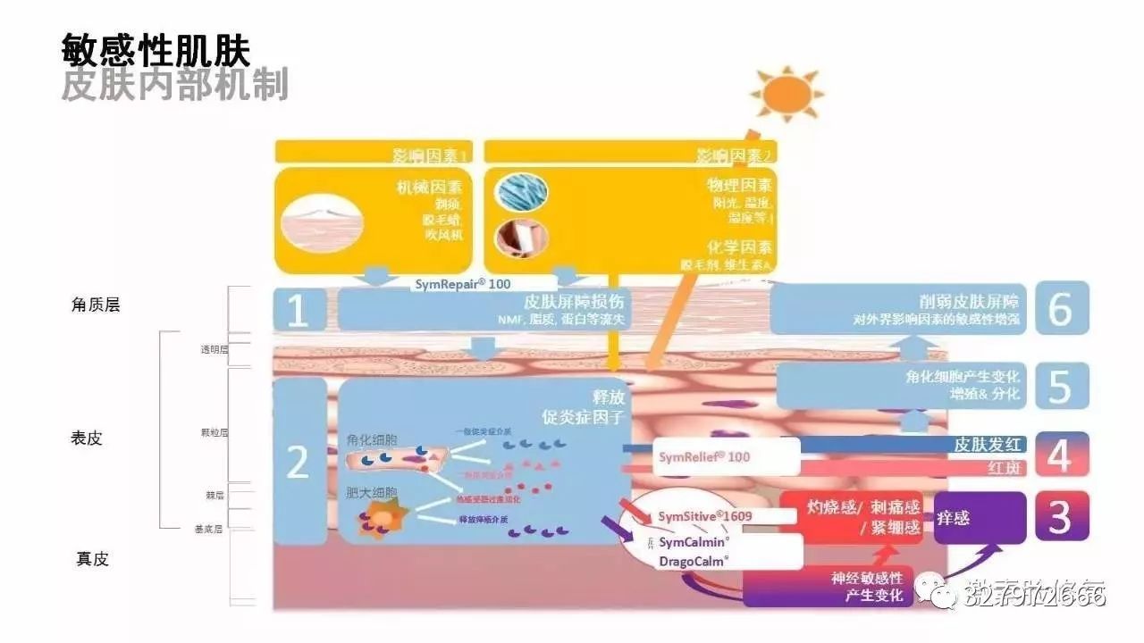 朵嘉浓会不会过敏,朵嘉浓能治脸过敏吗
