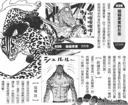 恶魔果实最想吃哪个,恶魔果实黄泉果实