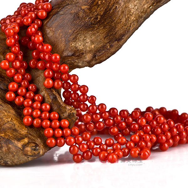 海里的有机宝石红珊瑚,来自深海的宝石红珊瑚