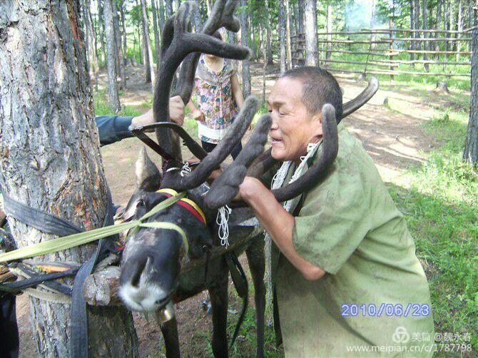 旅游、度假、休闲娱乐为一体的内蒙古根河市敖鲁古雅旅游度假村