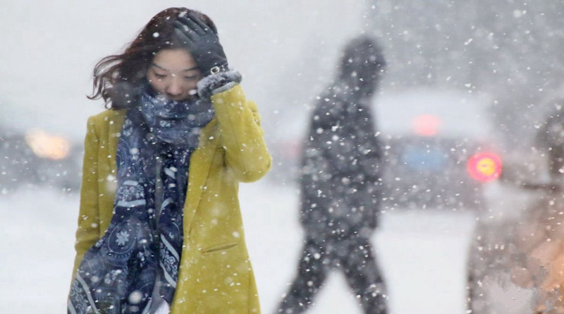 低首付购车以租代购哪个靠谱,断崖式降温迎战寒潮