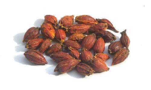 降尿酸单味中药,尿酸性肾病的中药配方