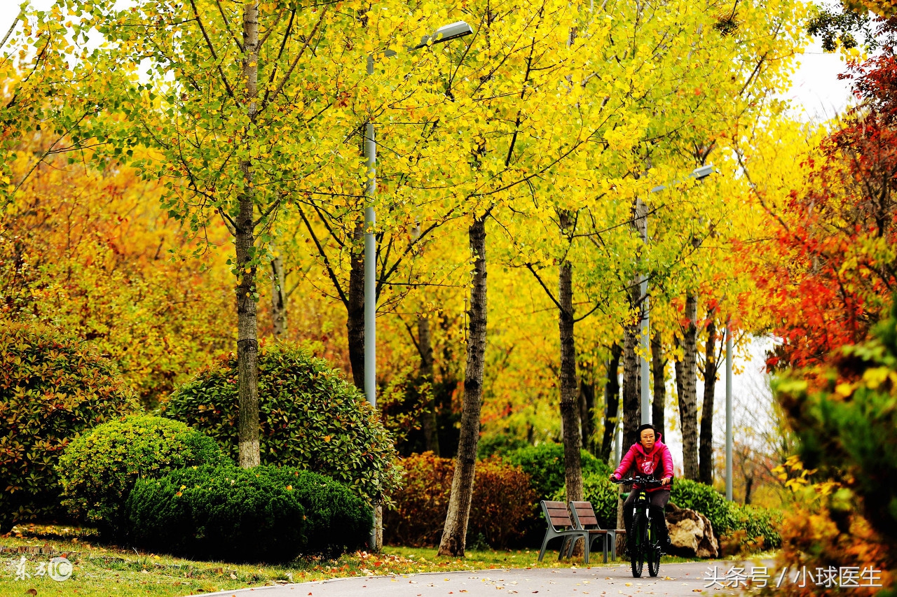 99%的肾病患者都不知道的感冒用药小常识！