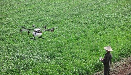 种地赚钱不用打工的方法,五十亩地种地怎么规划才能赚钱
