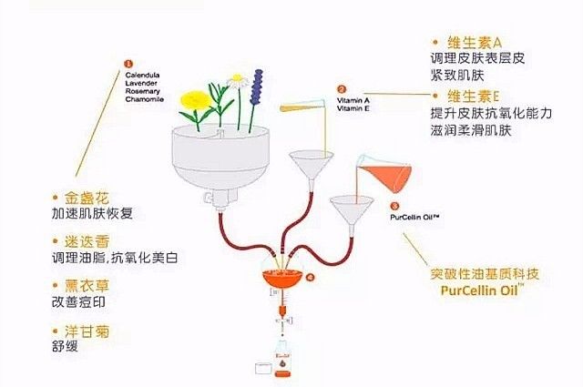 深扒那些爆火的网红减肥法,深扒8种抗衰老成分