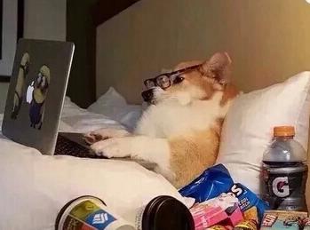 男生个性王者荣耀搞笑网名,王者荣耀网名搞笑名字