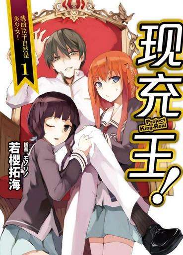 二次元令人心跳的术语,二次元的专用术语大全