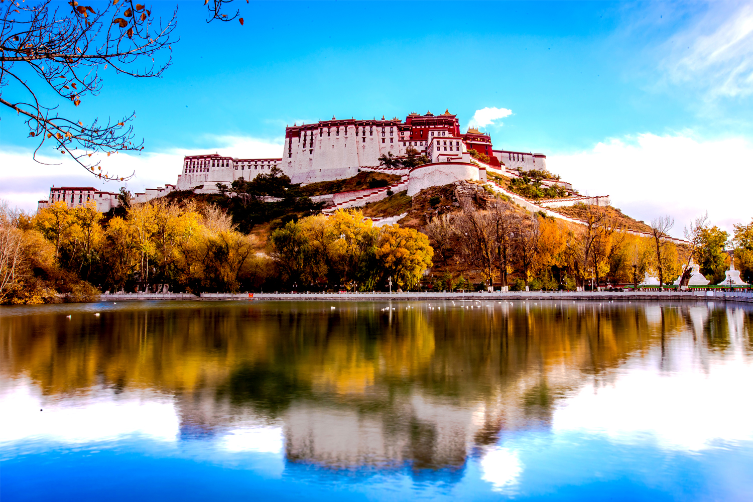 *藏西**的山石上,抱琴不愿归