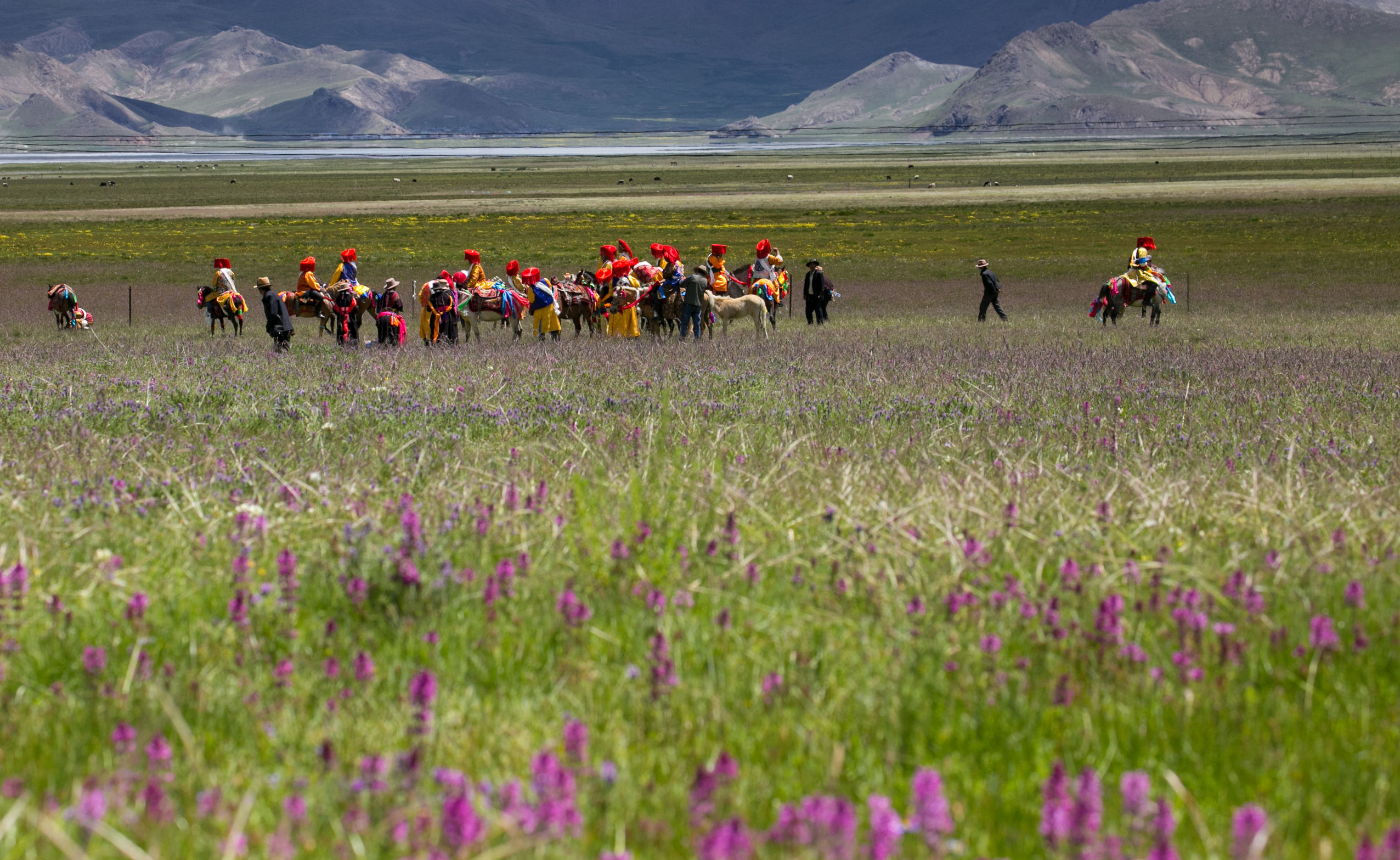 *藏西**的山石上,抱琴不愿归