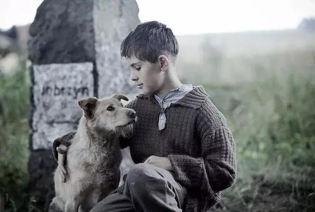 德国10部顶级剧情片,德国三部顶级剧情片无主之作