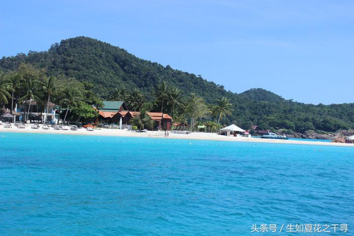 去兰卡威红树林,去兰卡威怎么玩