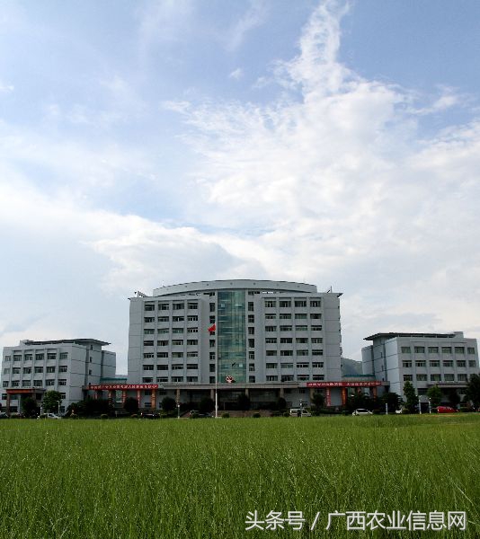 兴宁区三塘镇乡村振兴工作计划,南宁市西乡塘区产业扶贫