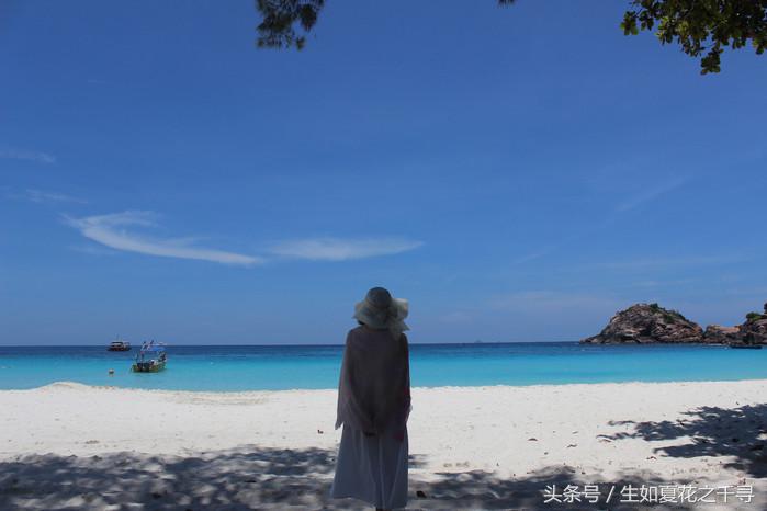 去兰卡威红树林,去兰卡威怎么玩