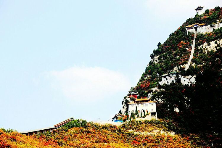 秋韵流过的晋城红