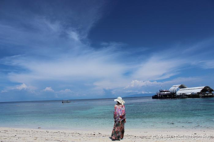 去兰卡威红树林,去兰卡威怎么玩