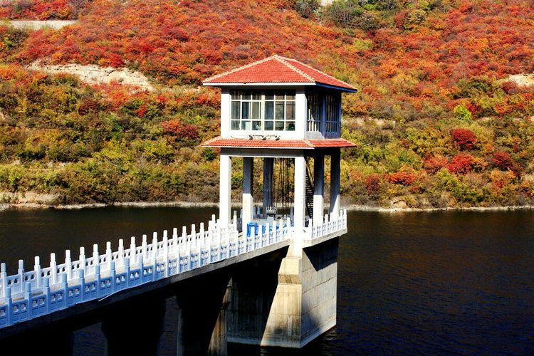 秋韵流过的晋城红