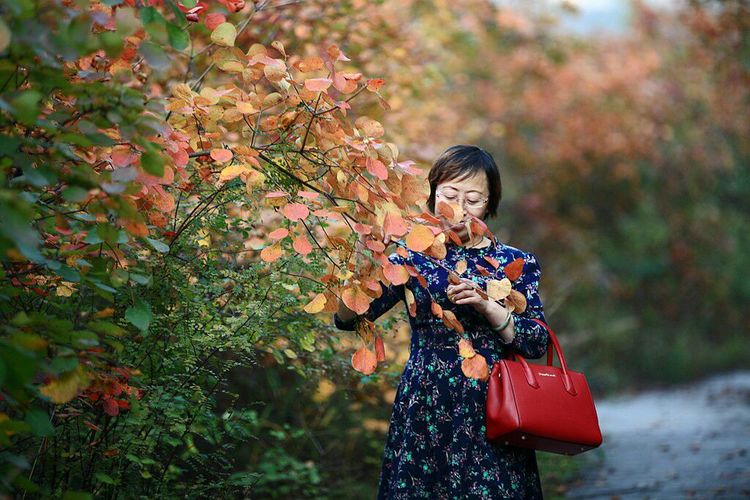 秋韵流过的晋城红