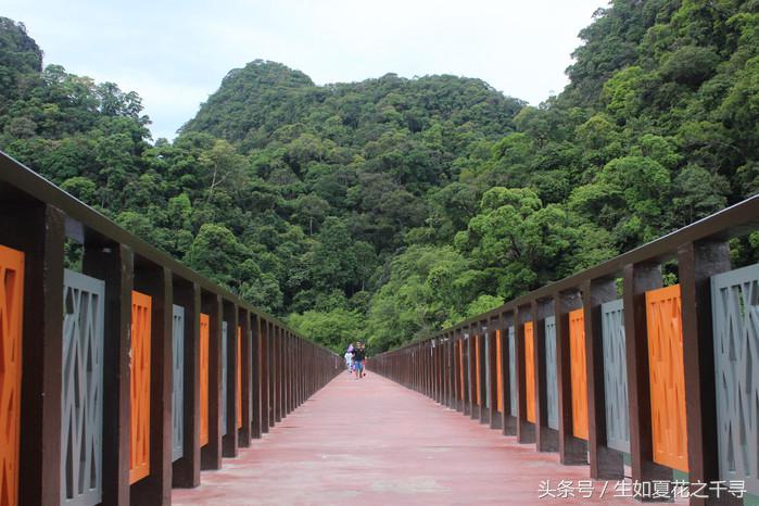 去兰卡威红树林,去兰卡威怎么玩