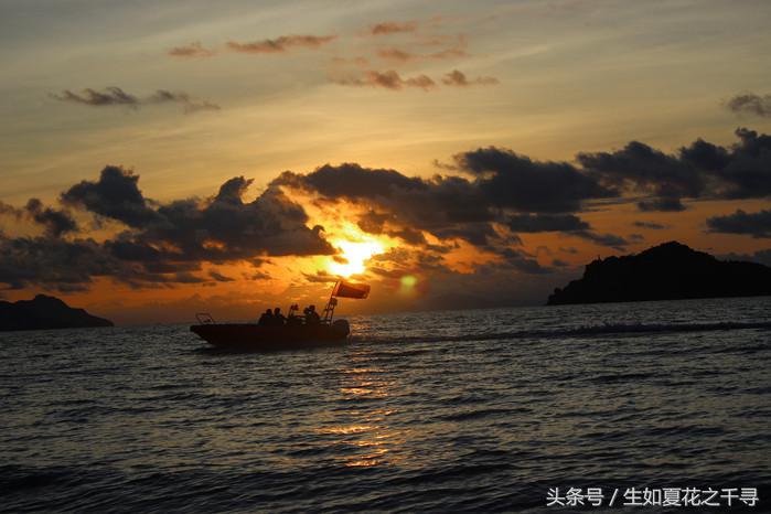 去兰卡威逗小鲨鱼，登嘉楼热浪岛浪一浪