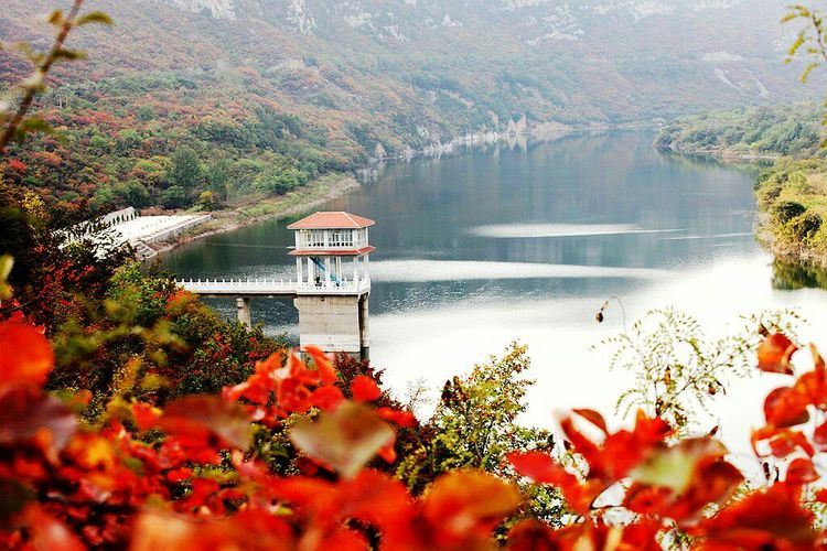 秋韵流过的晋城红