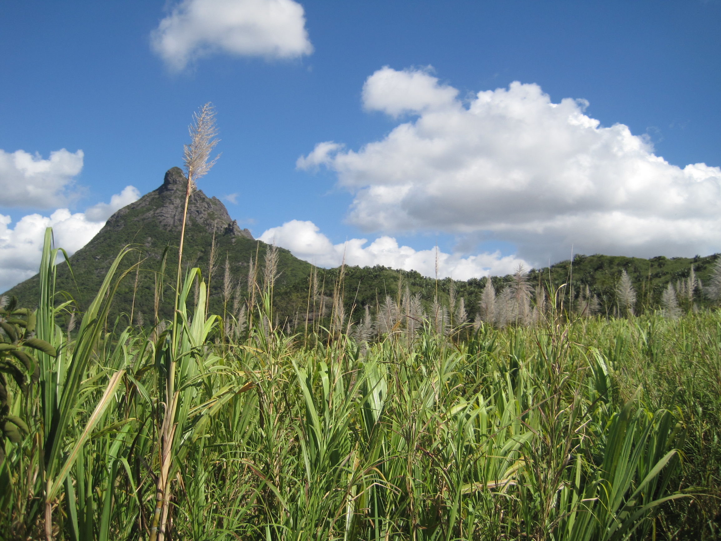 旅行毛里求斯,毛里求斯5天4夜游记