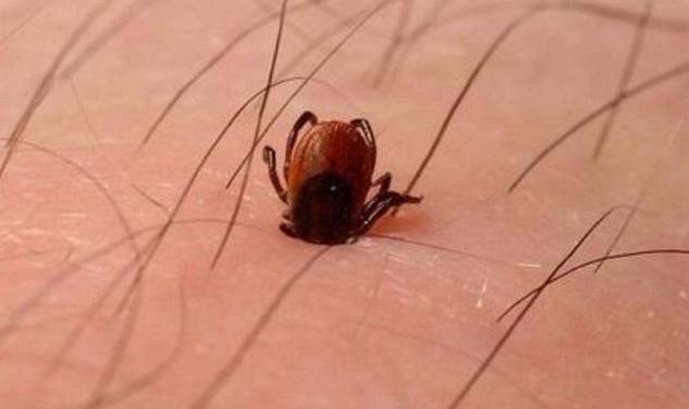 8岁女孩反复高烧第四天,8岁女童半夜发高烧