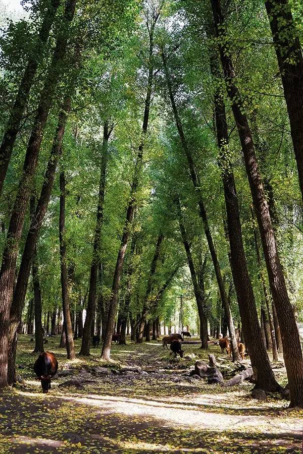 摄影如何去探索一个陌生的城市,一个地方不同的时间段摄影记录
