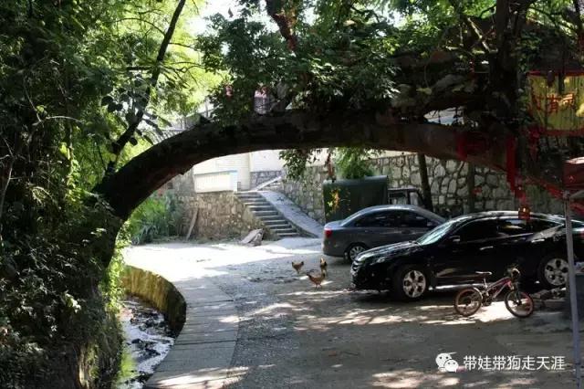 开着房车去遛娃,开着房车带狗狗出去玩