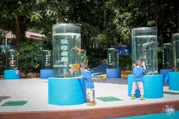 广州动物园的地图,广州动物园下一站去哪里