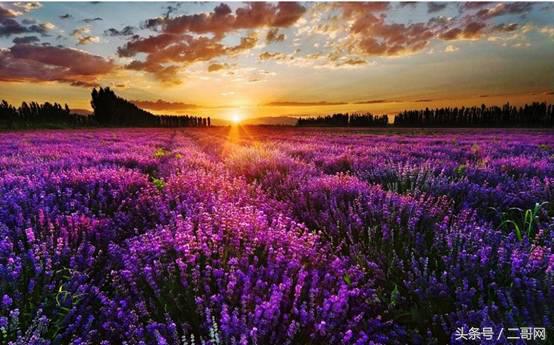 欧洲法国意大利自由行详细攻略,意法游览路线